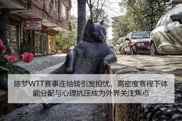 陈梦WTT赛事连轴转引发担忧，高密度赛程下体能分配与心理抗压成为外界关注焦点